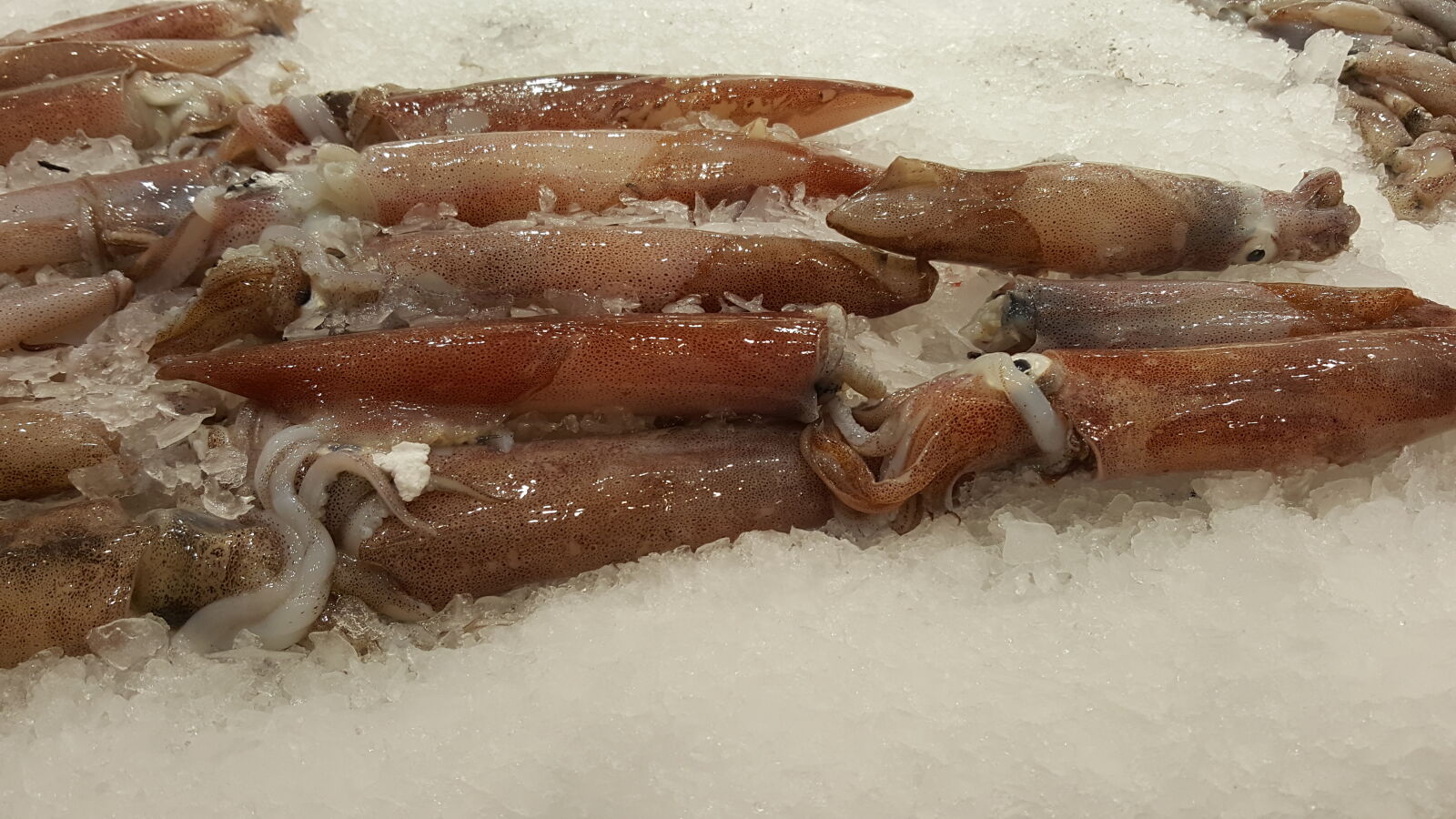 Samsung Galaxy Note5 sample photo. Calamari, fish, market, frozen photography
