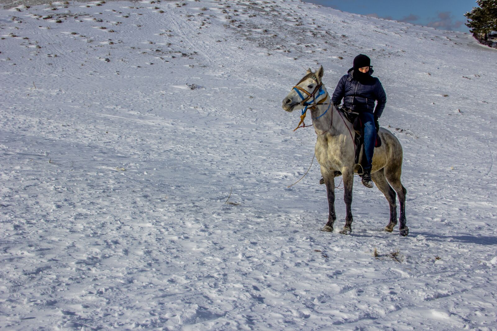 Canon EOS 60D sample photo. Snow, ice, winter photography