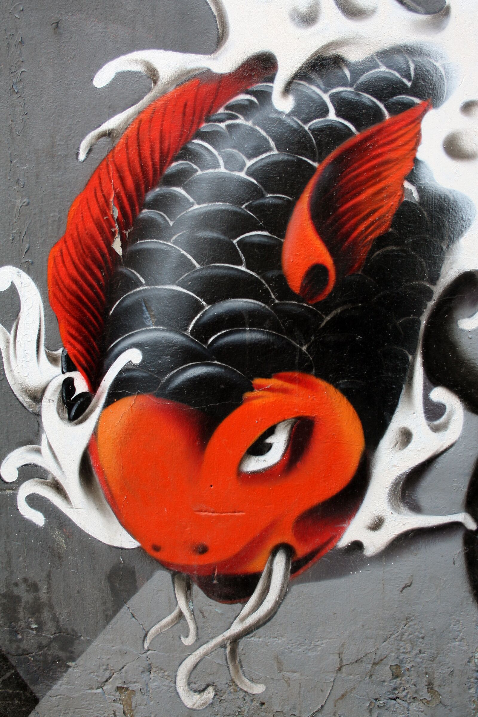 Canon EOS 1000D (EOS Digital Rebel XS / EOS Kiss F) sample photo. Graffiti, urban art, carp photography