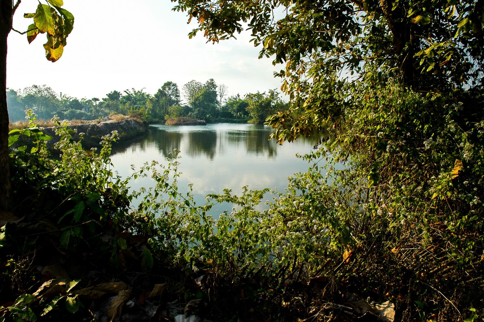 Nikon D70 sample photo. Lake, landscape, shrubs photography