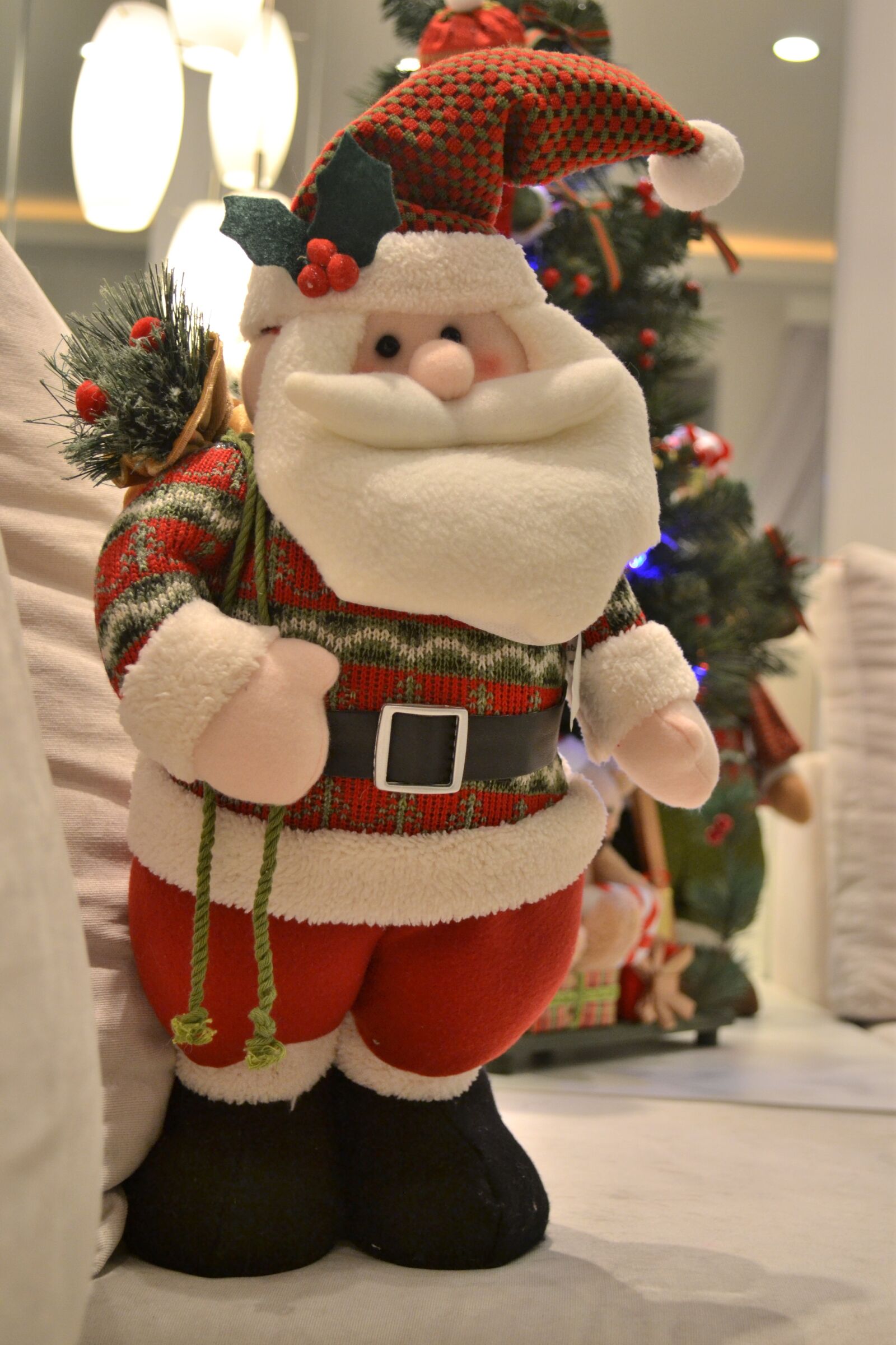 Nikon D3100 sample photo. Santa claus, christmas, santa photography