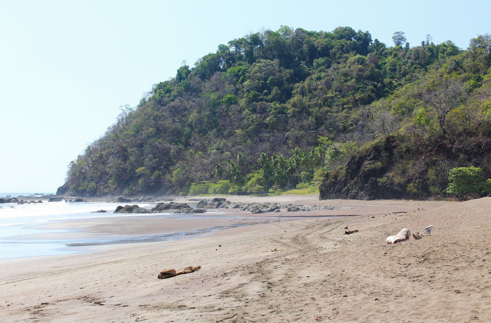 Canon EOS 700D (EOS Rebel T5i / EOS Kiss X7i) sample photo. Costa rica, tropical, jungle photography