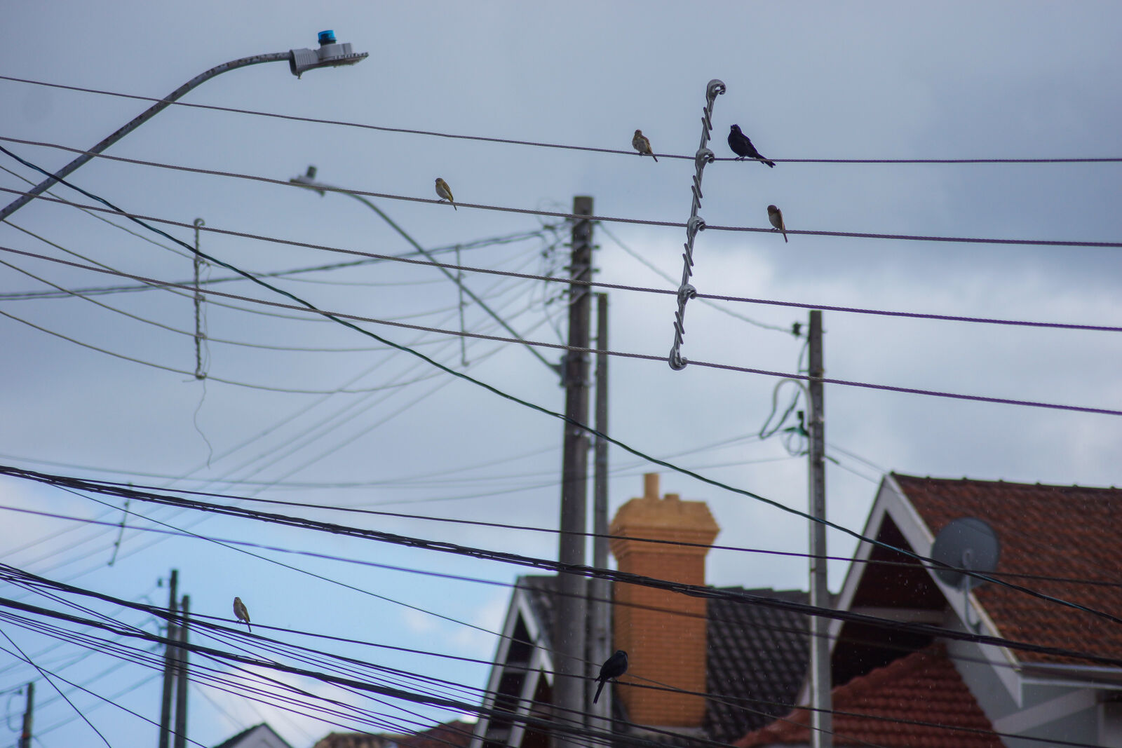Sony SLT-A65 (SLT-A65V) sample photo