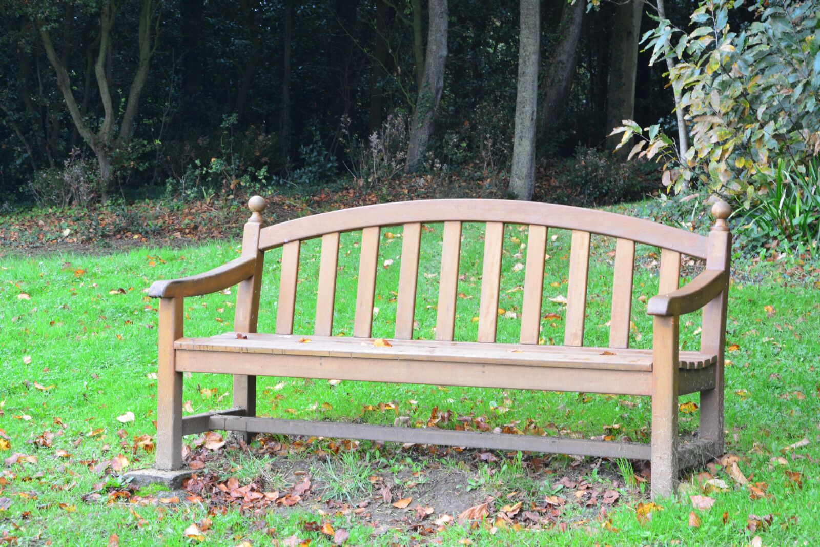 Nikon D5200 sample photo. Bench, public bench, bench photography