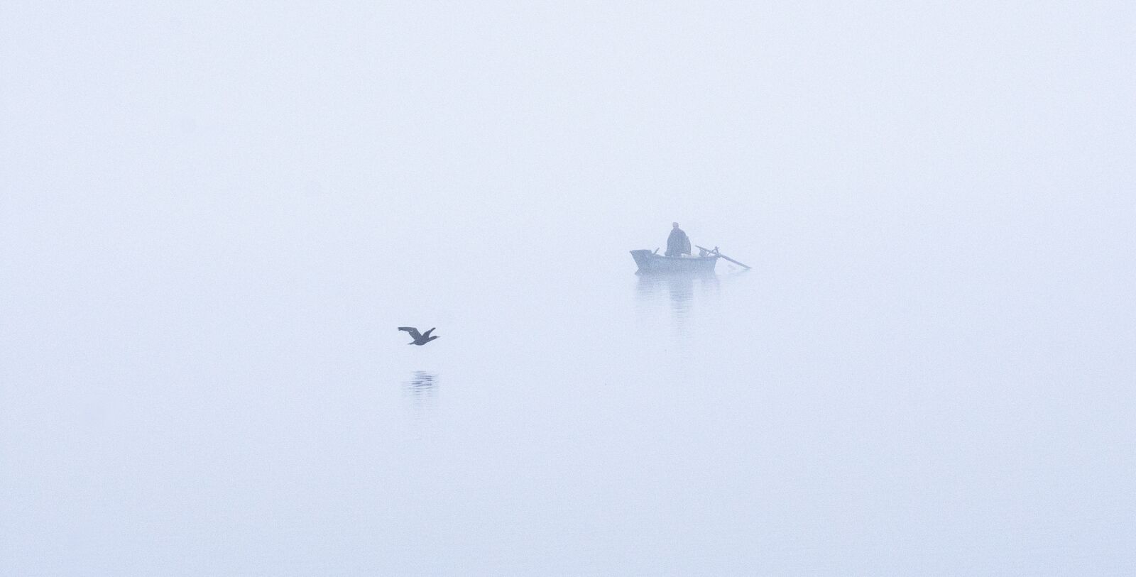 Nikon D7200 sample photo. Fog, lake, water photography