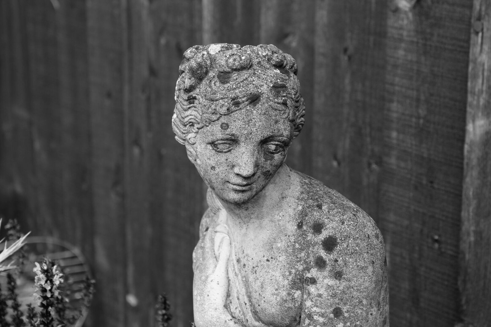 Canon EOS 1300D (EOS Rebel T6 / EOS Kiss X80) sample photo. Statues, sadness, sad photography