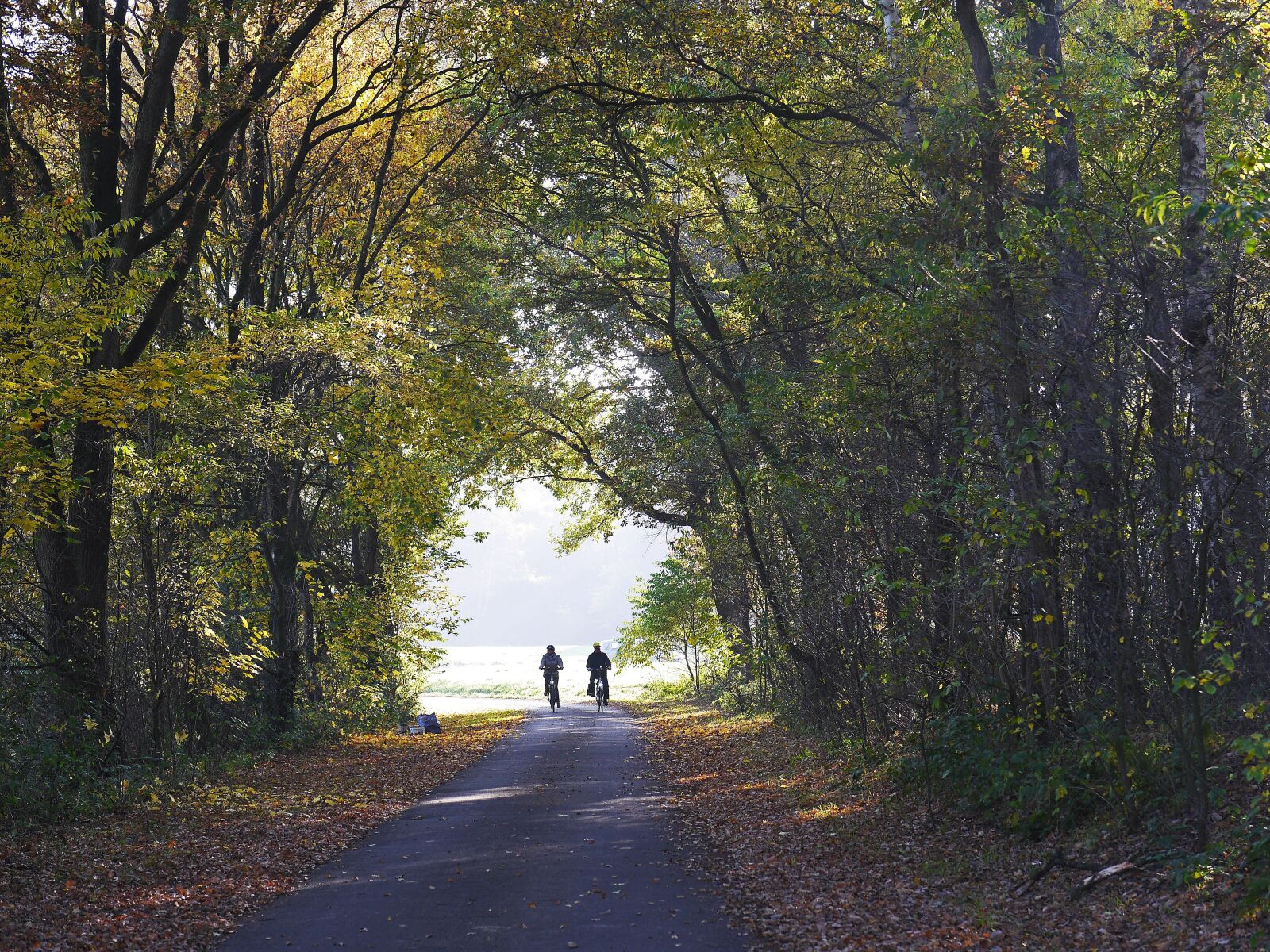 Panasonic Lumix DMC-GH3 sample photo. Bike ride, autumn, october photography