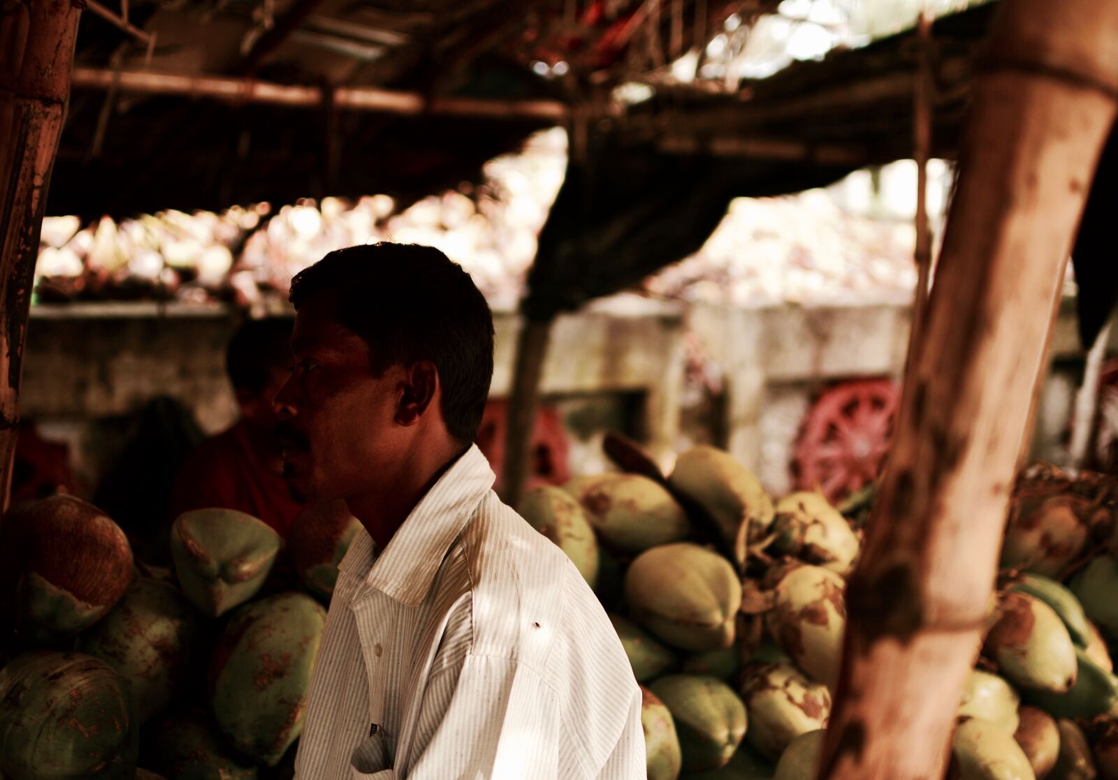 Nikon D3100 sample photo. Coconuts, india, street, photo photography