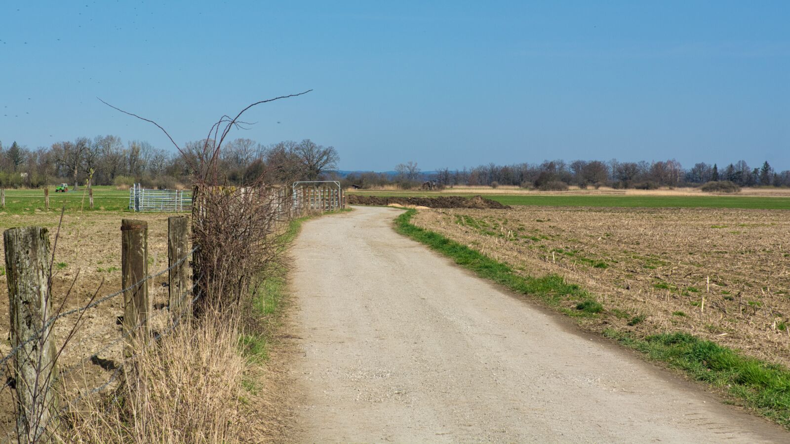 Nikon D7100 sample photo. Lane, away, nature photography