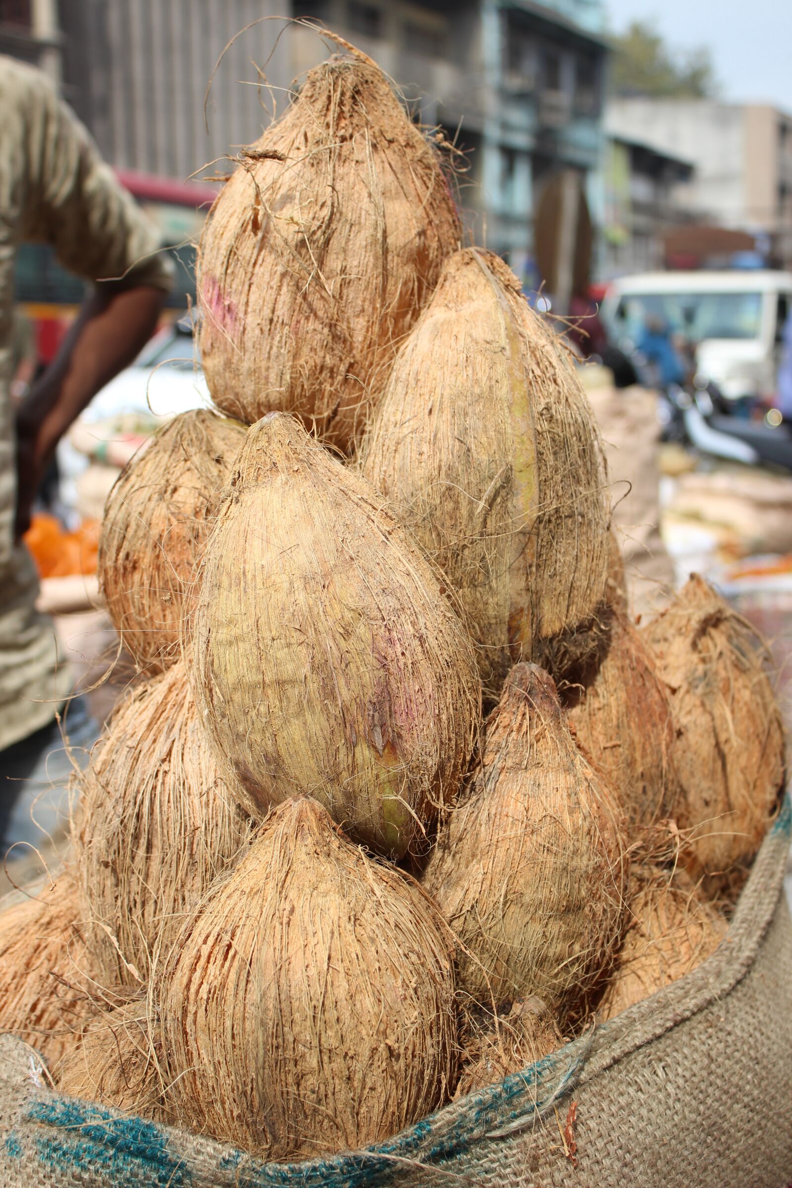 Canon EOS 600D (Rebel EOS T3i / EOS Kiss X5) sample photo. Coconut, nariyal, indian photography