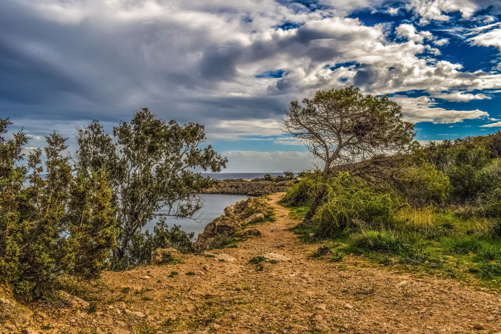 Nikon D3300 sample photo. Path, nature, tree photography
