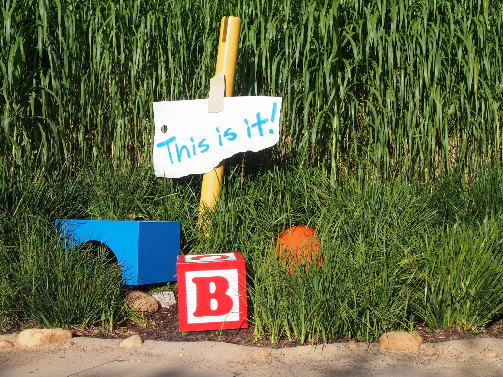 Olympus PEN E-PL5 sample photo. Block, blocks, disney, disneyland photography