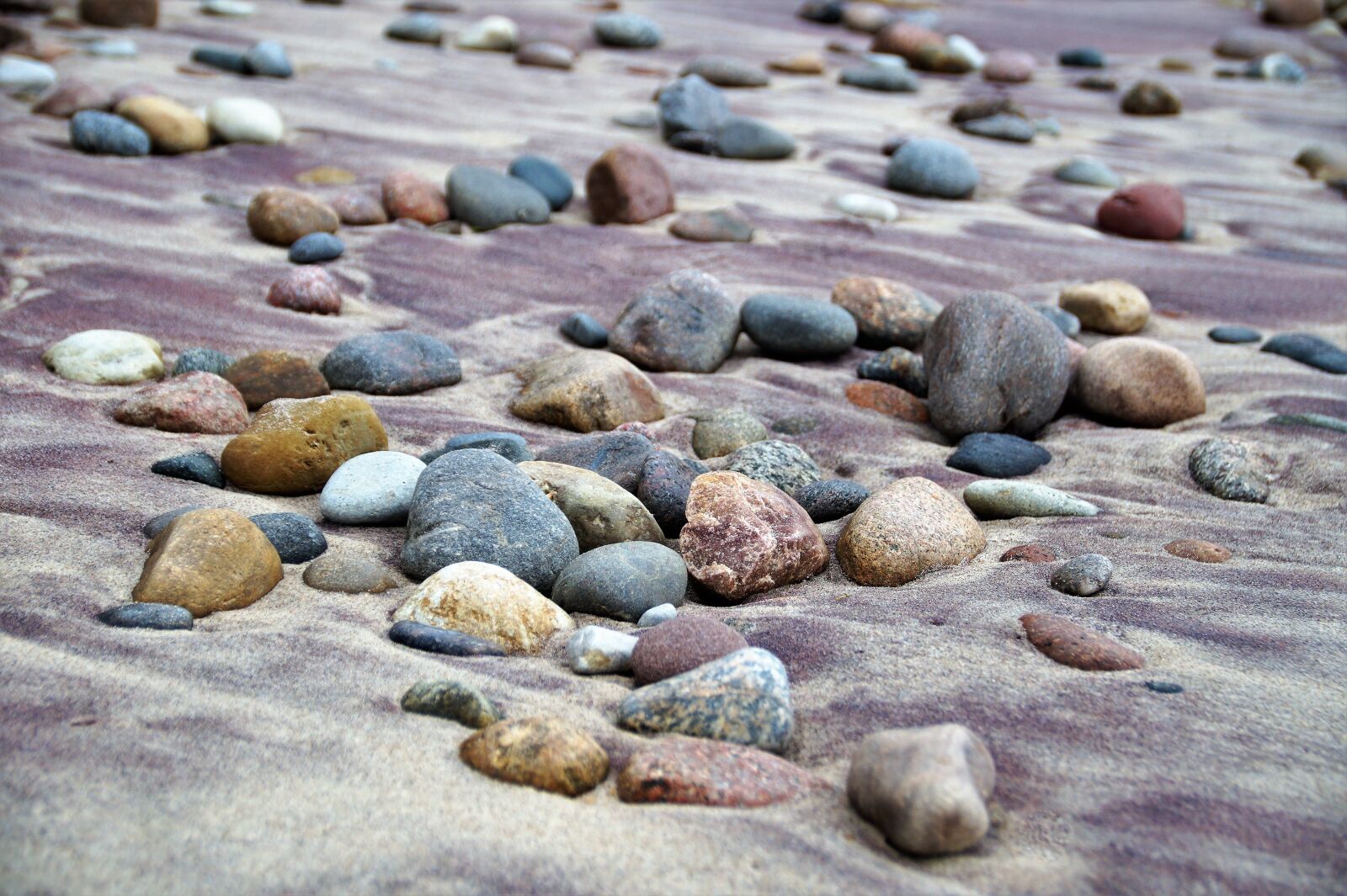 Sony SLT-A58 sample photo. Sand, beach, purple photography