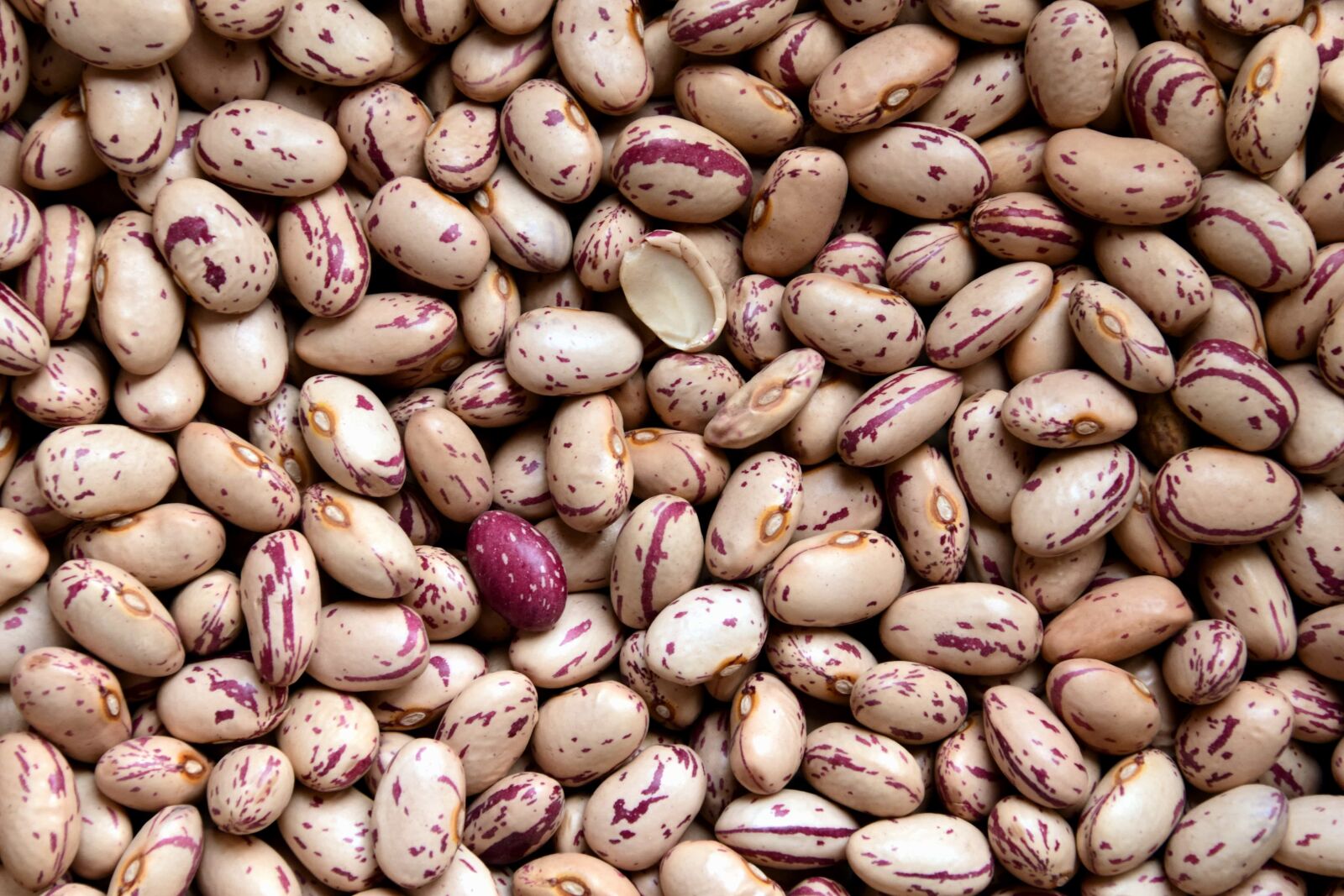 Nikon D3300 sample photo. Seed, organic, food, nutrition photography