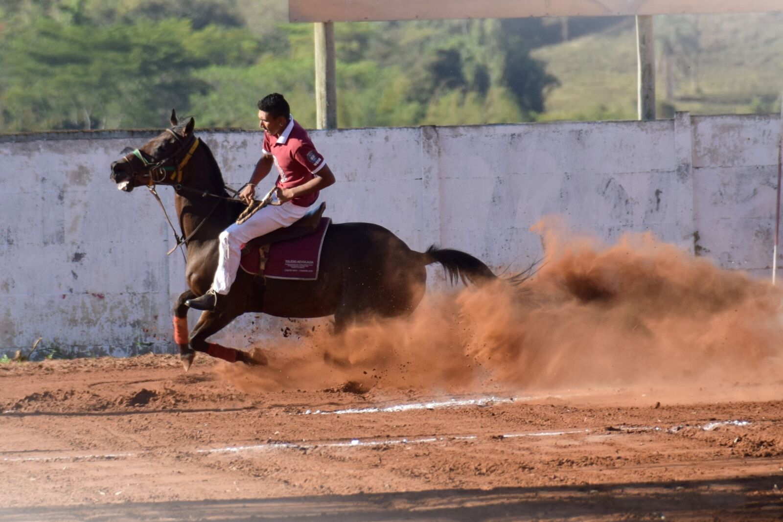 Nikon D5300 sample photo. Equestrianism, knight, horse photography