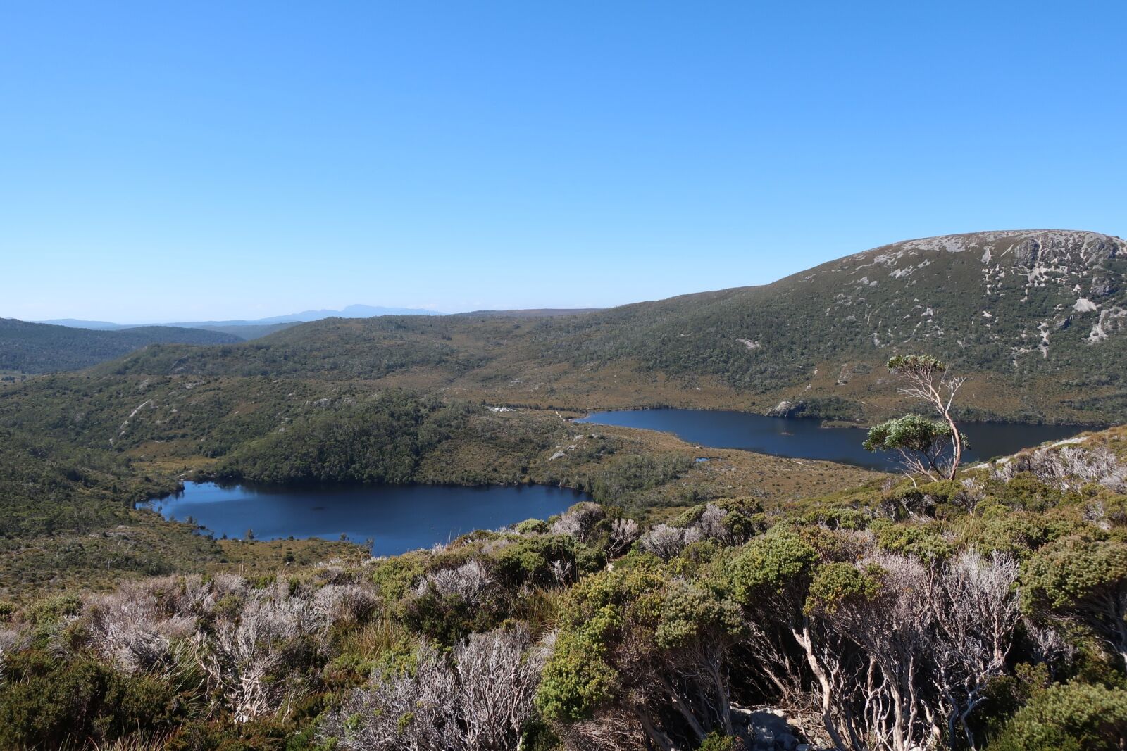 Canon PowerShot G9 X Mark II sample photo. Cradle mountain, tasmania, wilderness photography