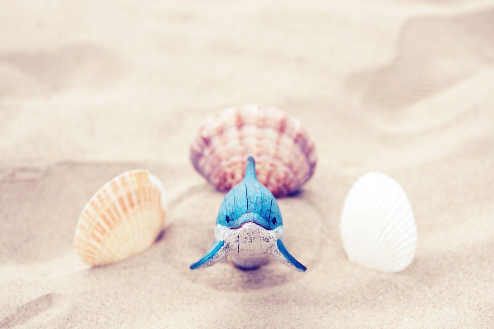 Nikon D750 sample photo. Beach, sand, ocean photography