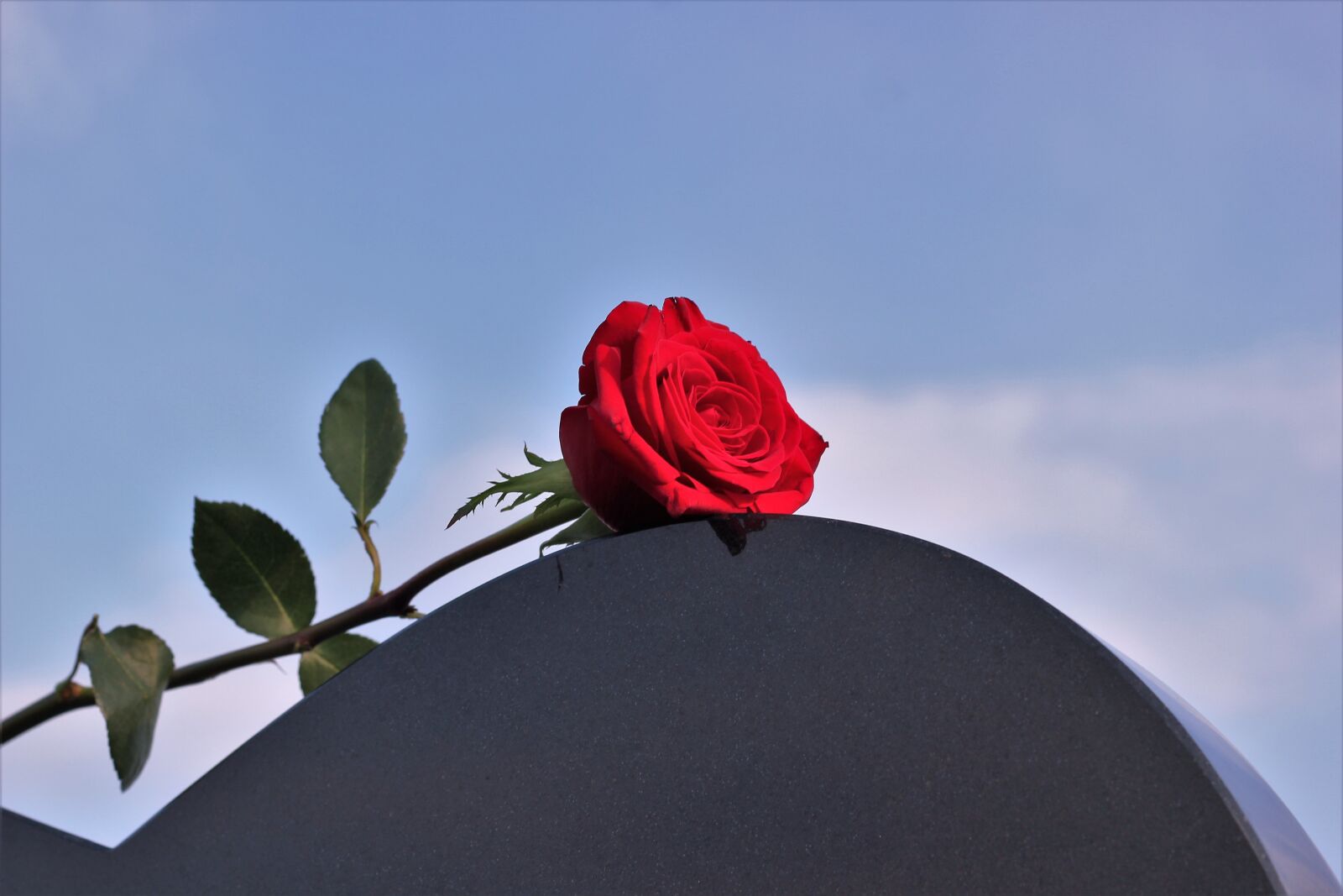 Canon EOS 550D (EOS Rebel T2i / EOS Kiss X4) sample photo. Red rose, heart gravestone photography