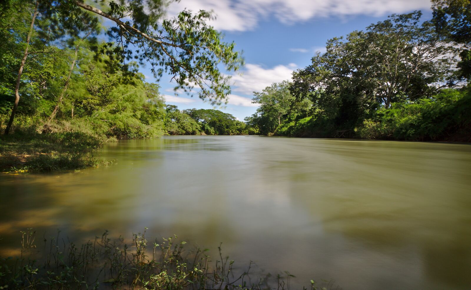 Sony E 16-50mm F3.5-5.6 PZ OSS sample photo. Nature, water, tree photography