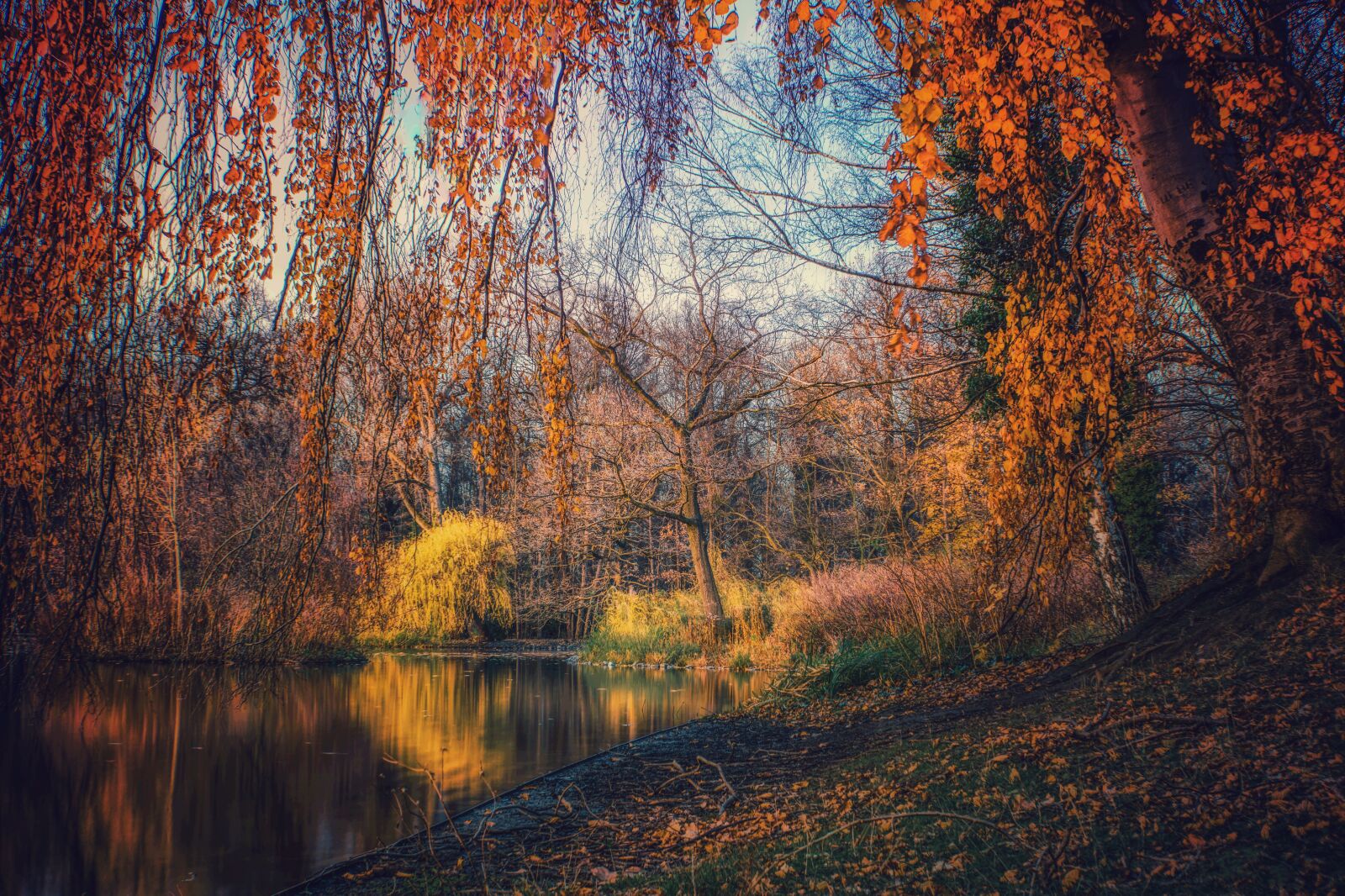 Nikon D5200 sample photo. Nature, dreams, landscape photography