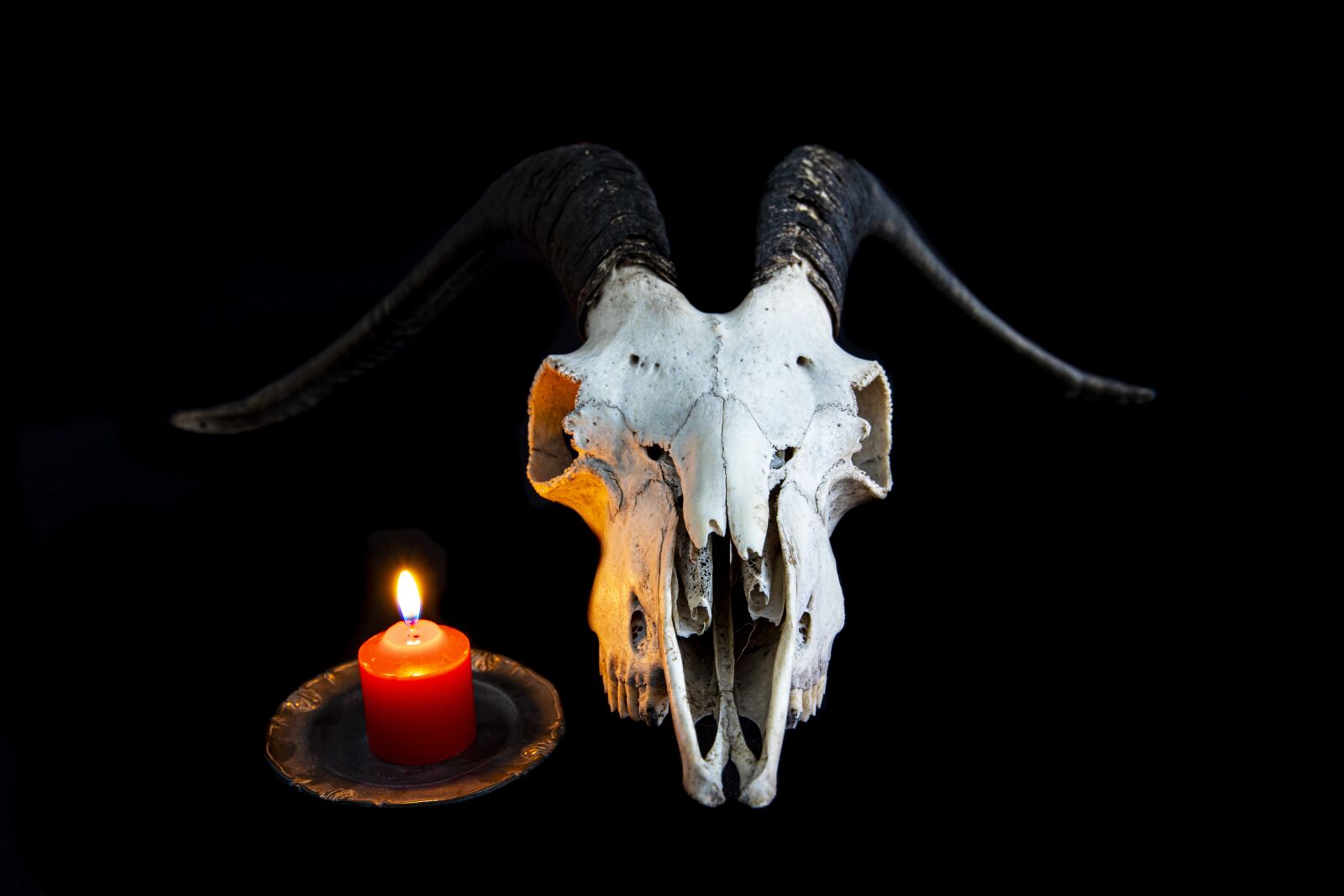 Canon 24-70mm F2.8 DG OS HSM | Art 017 sample photo. Skull, death, skeleton photography