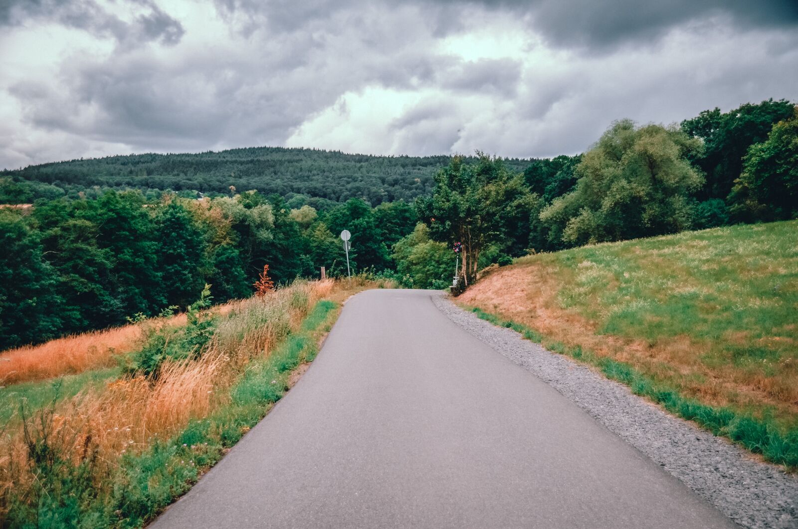 Nikon D5100 sample photo. Road, field, landscape photography