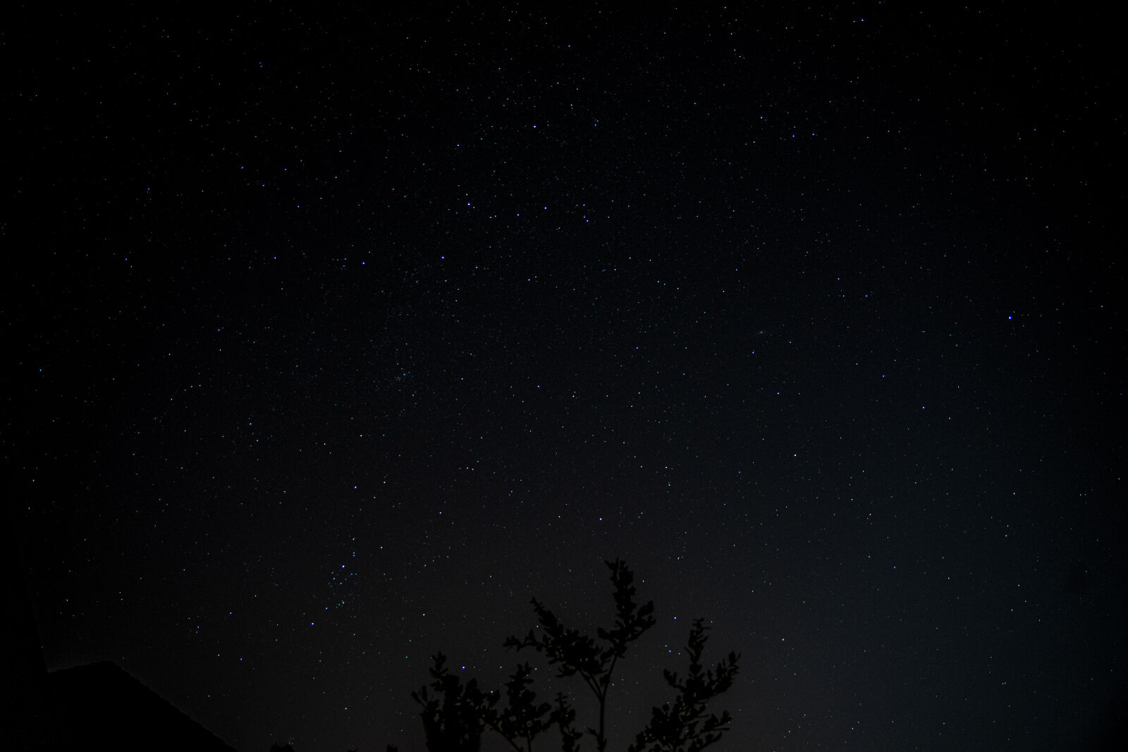 Sony a7 II sample photo