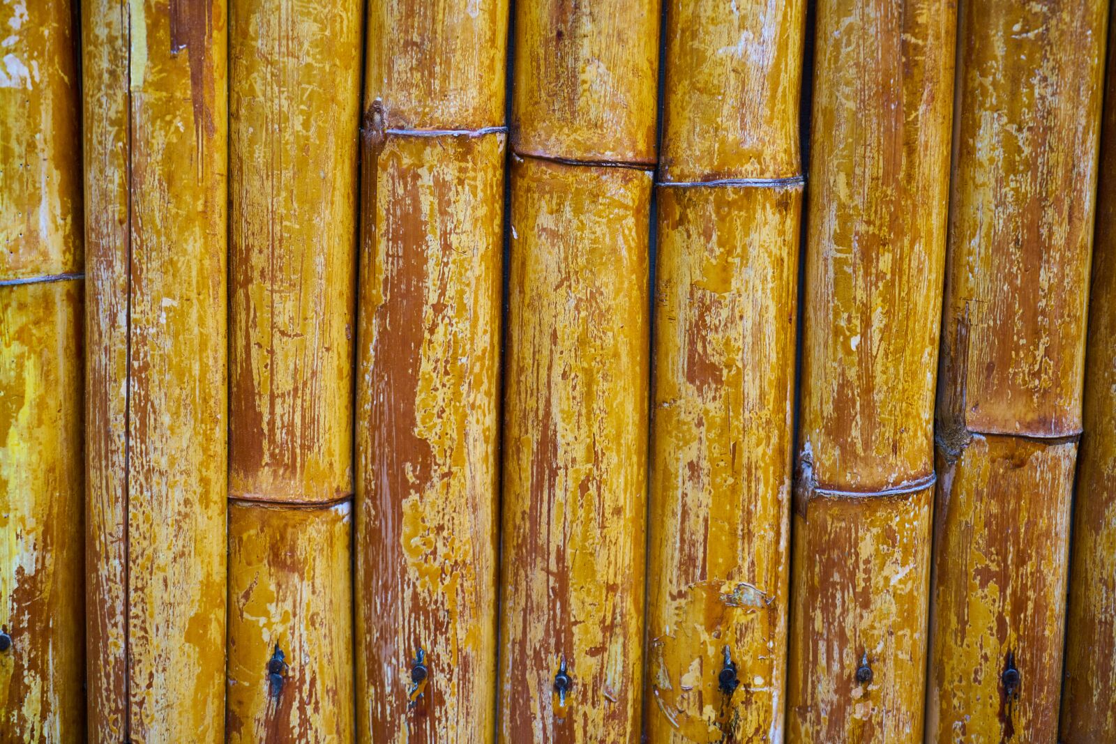 Sony a7R II sample photo. Bamboo, wood, wall photography