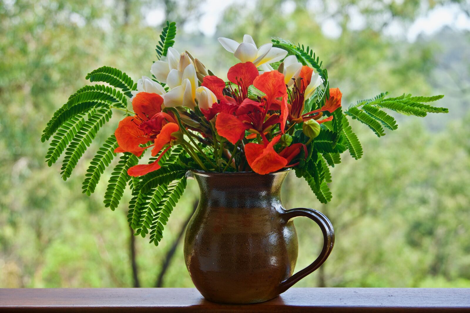 Sony E 18-135mm F3.5-5.6 OSS sample photo. Flowers, ornamental, red photography