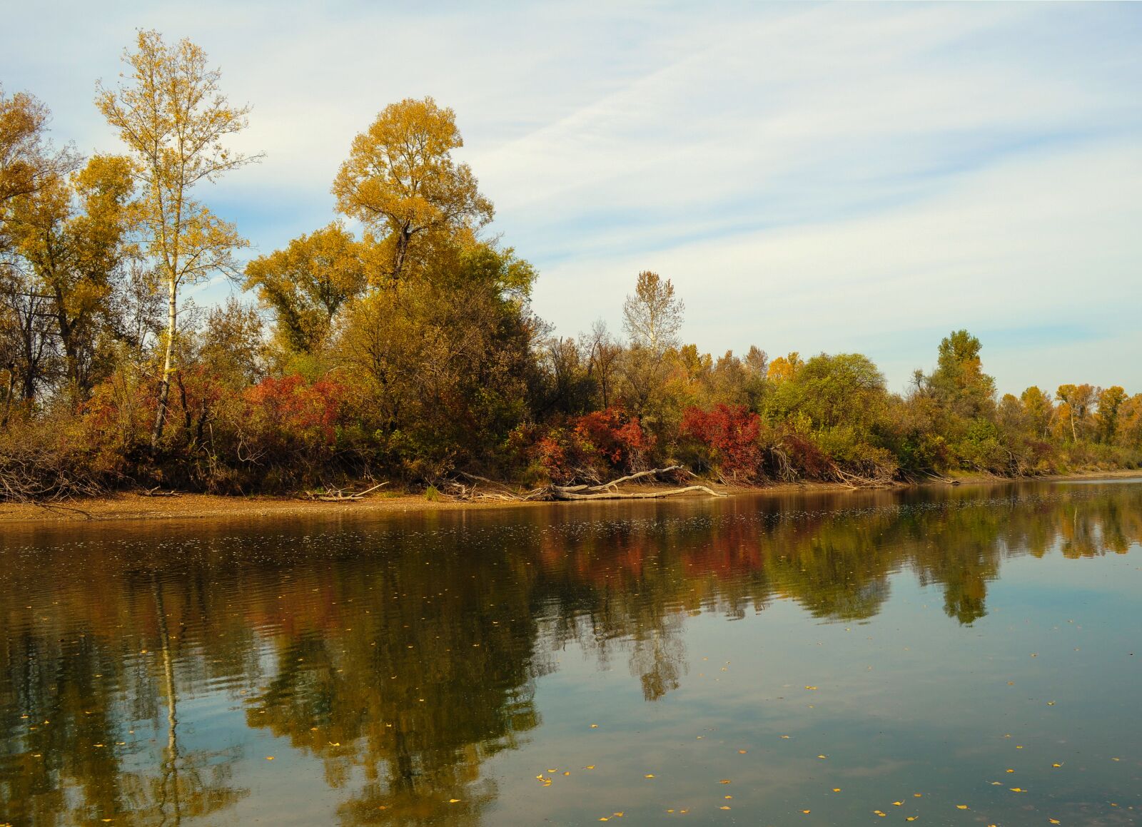 Nikon D5000 sample photo. Landscape, nature, autumn photography