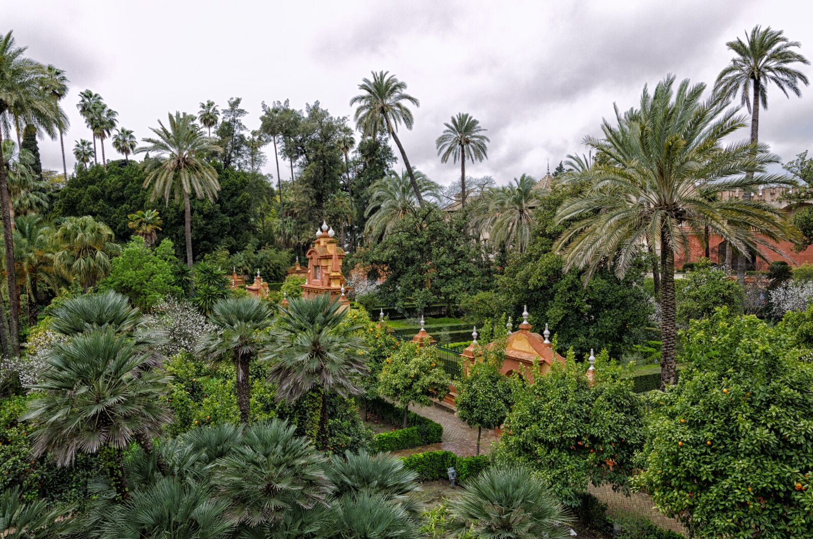 Nikon D5100 sample photo. Palm, tree, tropical photography
