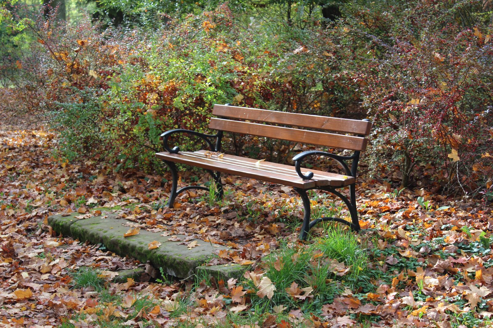 Canon EOS 1300D (EOS Rebel T6 / EOS Kiss X80) sample photo. Park, bank, park bench photography
