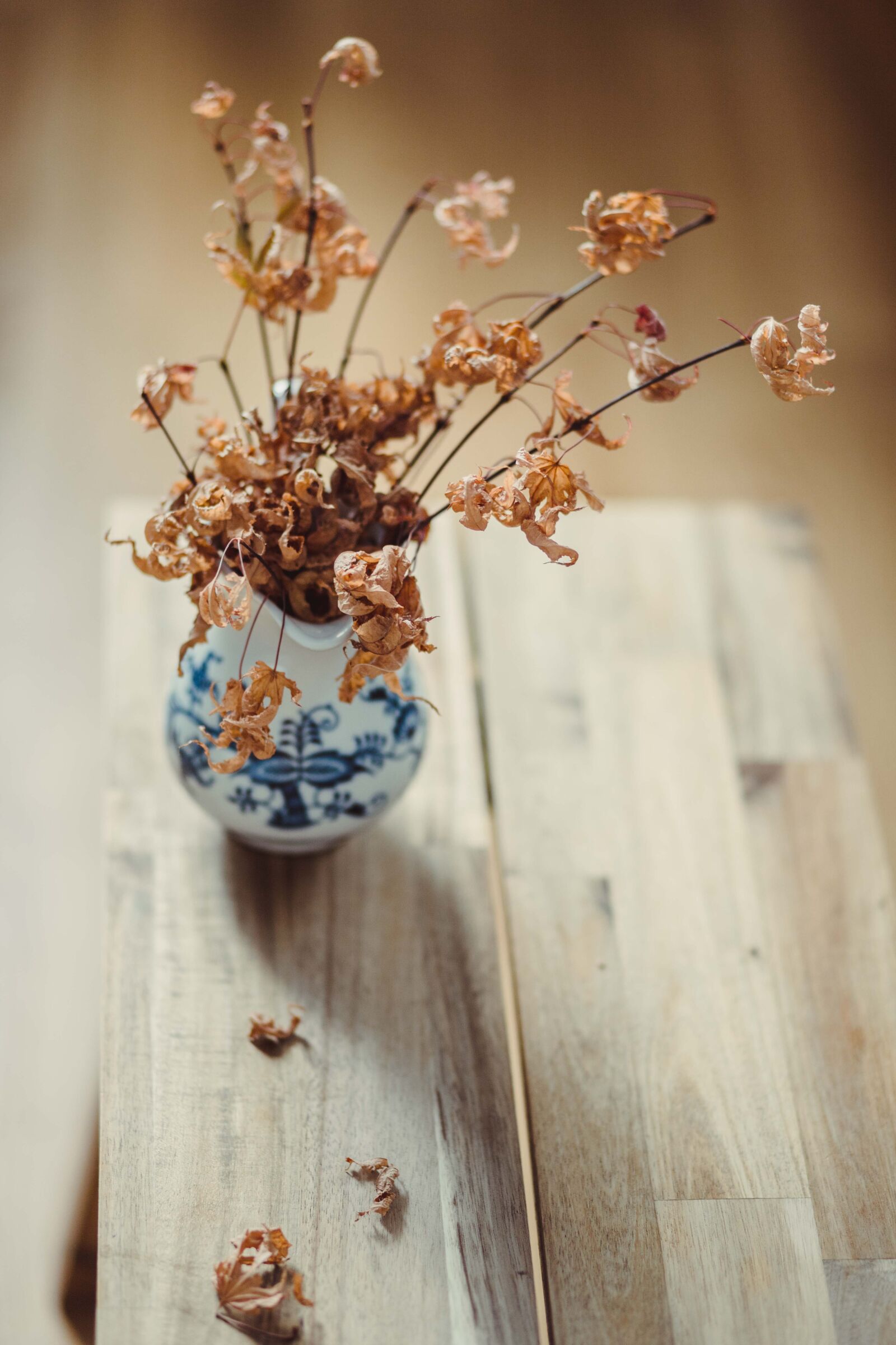 Canon EF 85mm F1.8 USM sample photo. Autumn, fall, flatlay photography