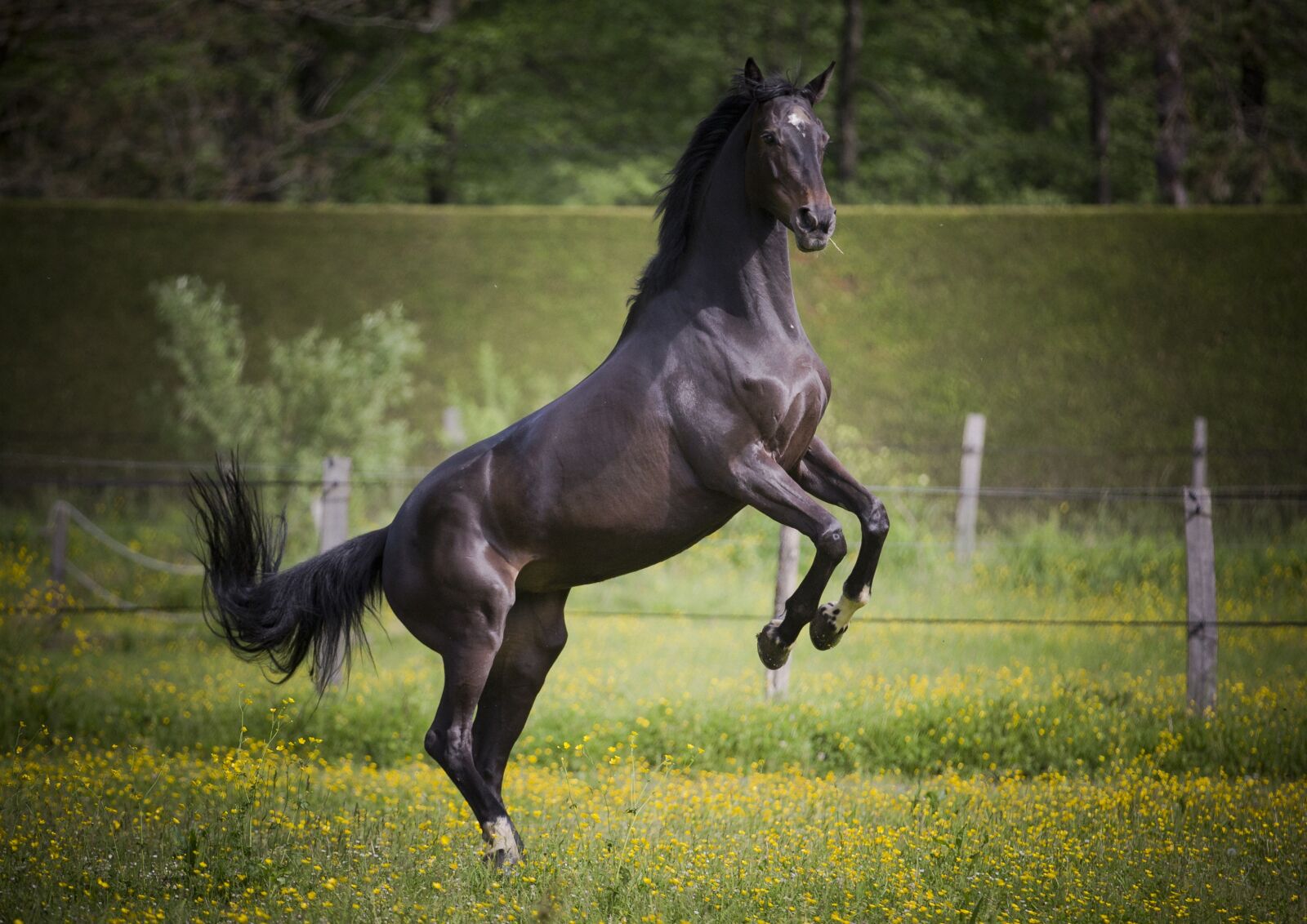 Canon EOS 5D Mark III sample photo. Xpo, turbine, hose photography