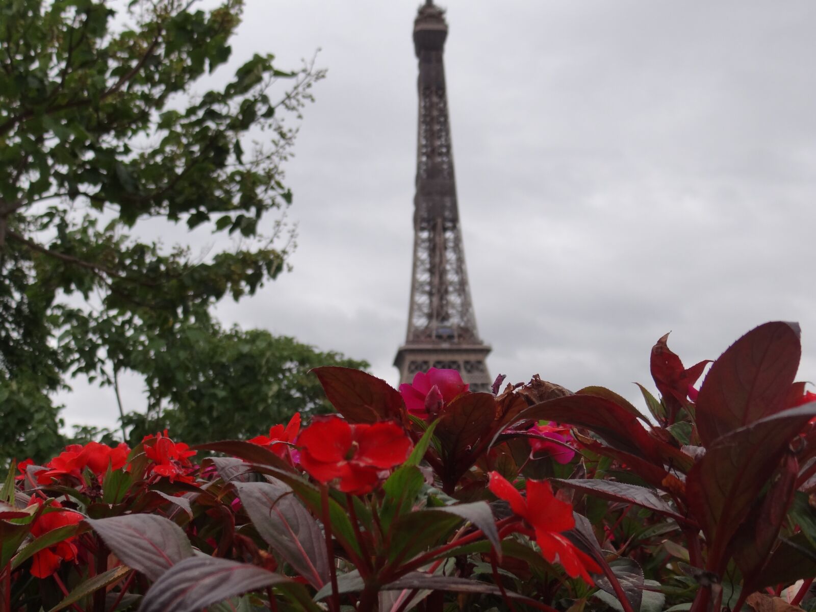 Sony Cyber-shot DSC-HX100V sample photo. Paris en fleurs, paris photography
