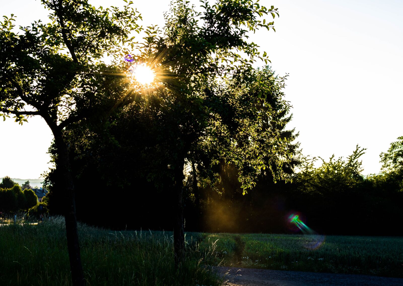 Canon EOS 750D (EOS Rebel T6i / EOS Kiss X8i) sample photo. Sun, nature, landscape photography
