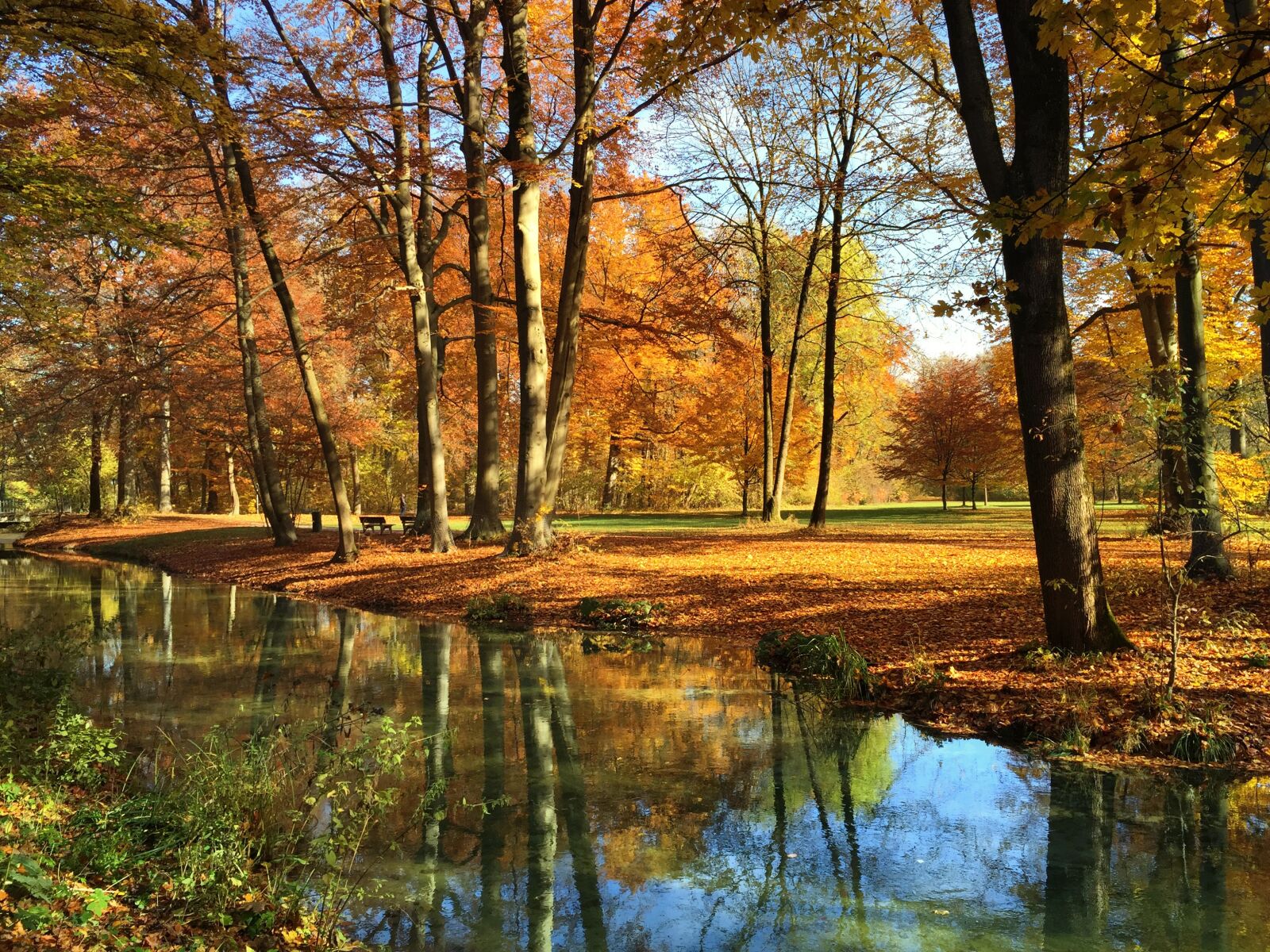 Apple iPhone 6 sample photo. Munich, english garden, autumn photography