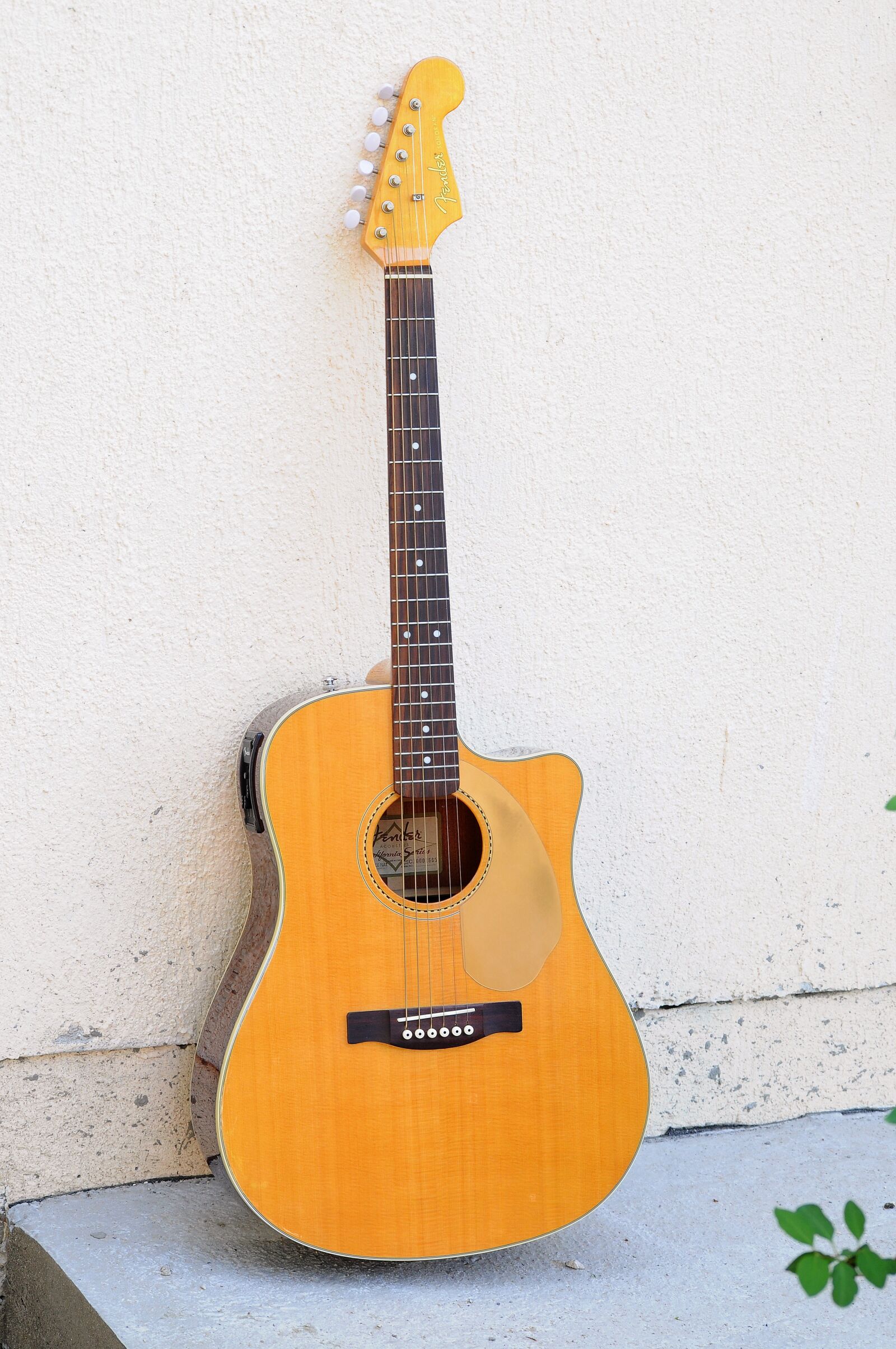 Nikon D5000 sample photo. Guitar, instrument, wood photography