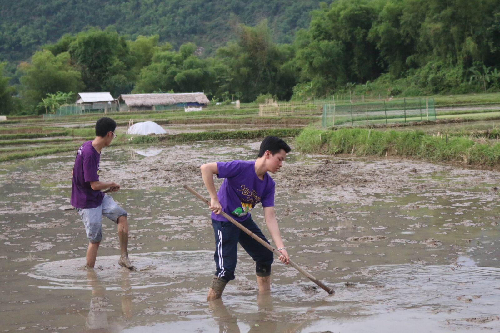 Canon EOS 70D sample photo