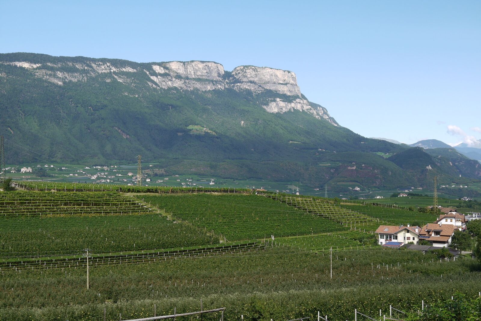 Panasonic Lumix DMC-G2 sample photo. South tyrol, vineyards, mountains photography