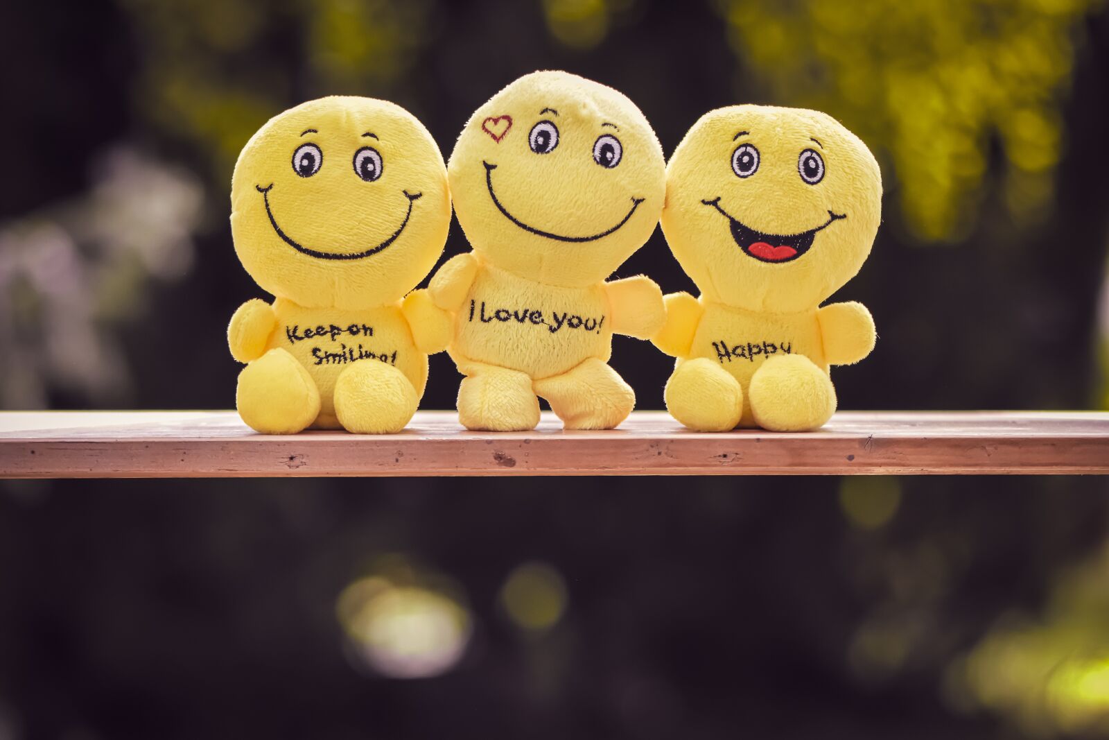Nikon D7200 sample photo. Smilies, plush, yellow photography