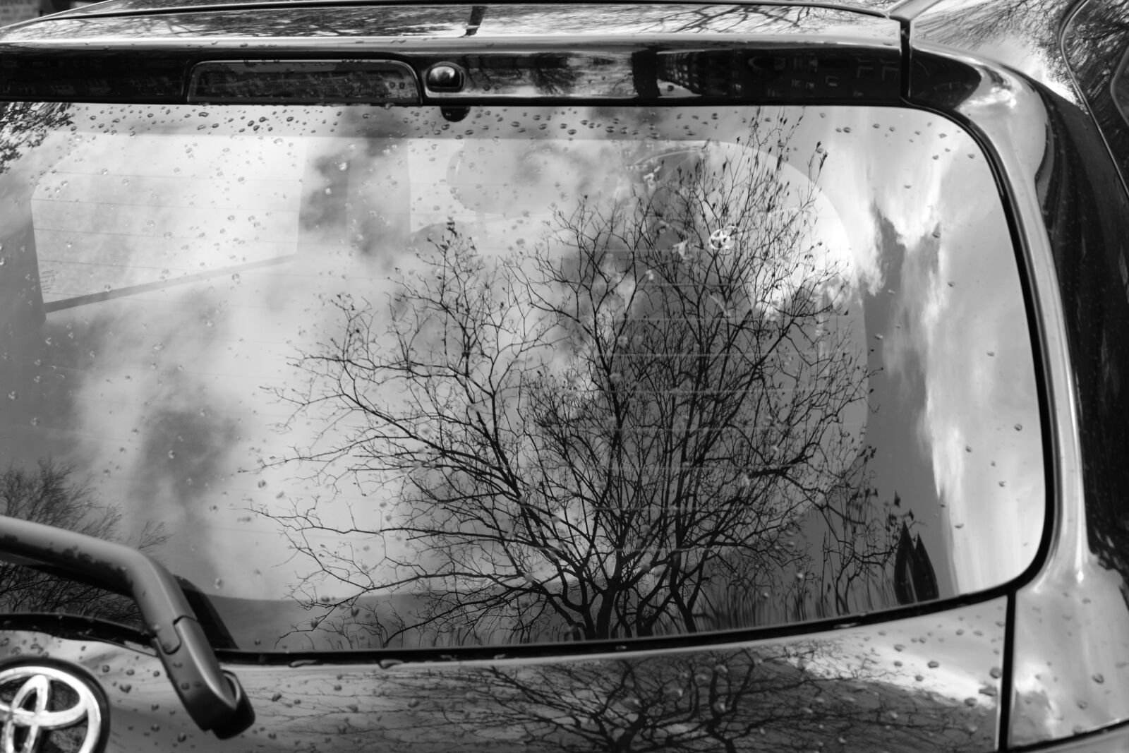 Nikon D3300 sample photo. Auto, disc, mirroring photography