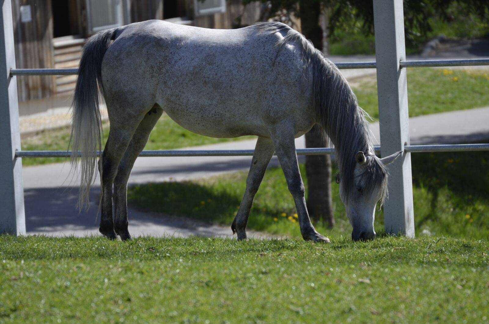 Nikon D5100 sample photo. Main and state stud photography
