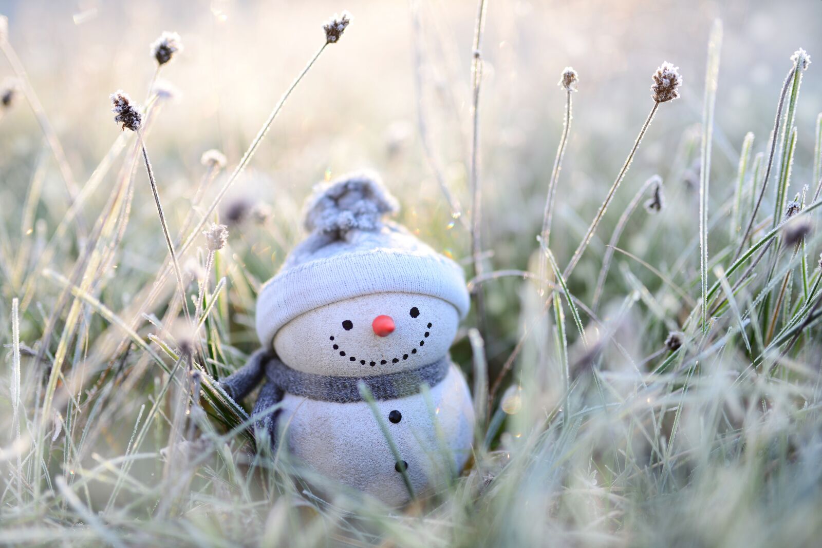 Nikon D610 sample photo. Snowman, winter, grasses photography