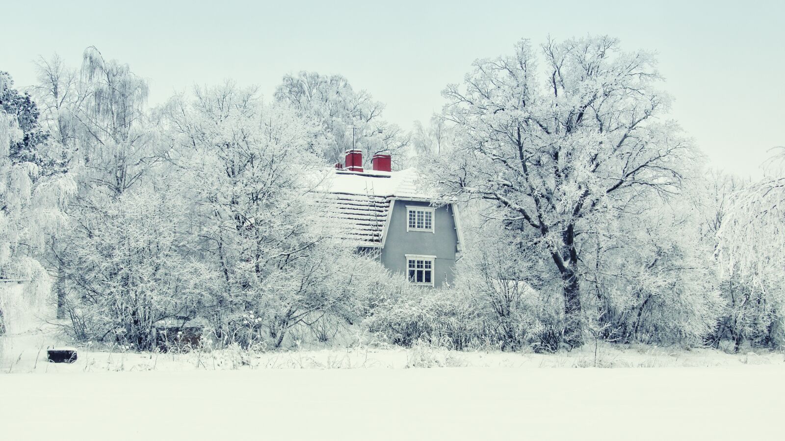 Canon EOS 50D sample photo. Finland, snow, winter photography