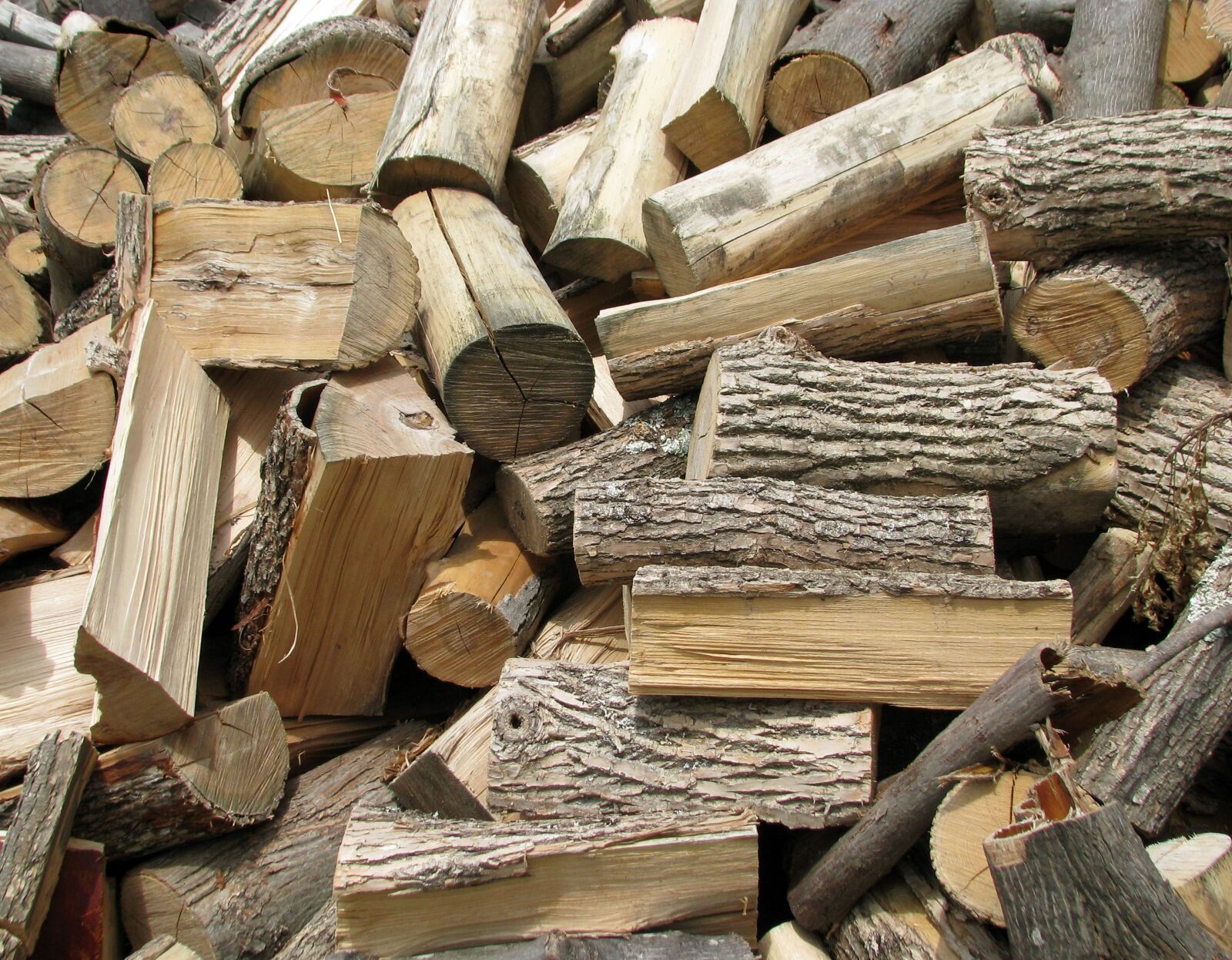 Canon POWERSHOT S5 IS sample photo. Firewood, ash, bitternut hickory photography