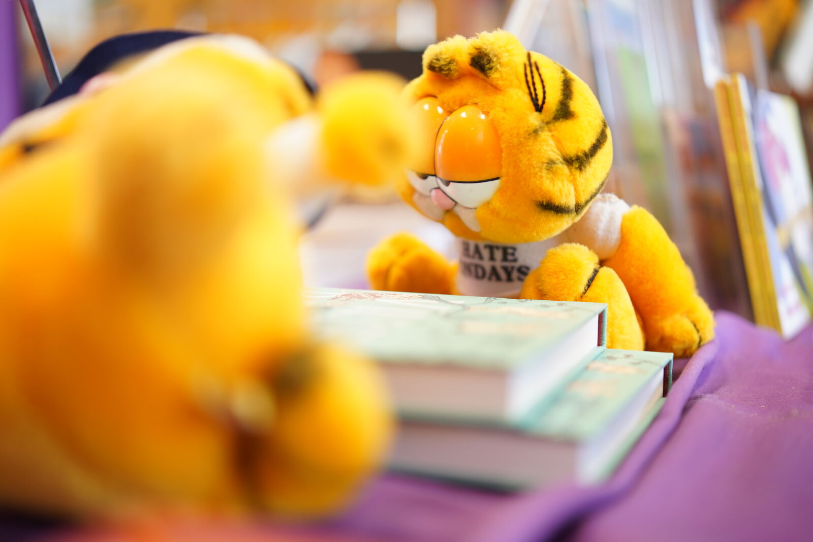 Samyang AF 45mm F1.8 FE sample photo. Garfield hates books too photography