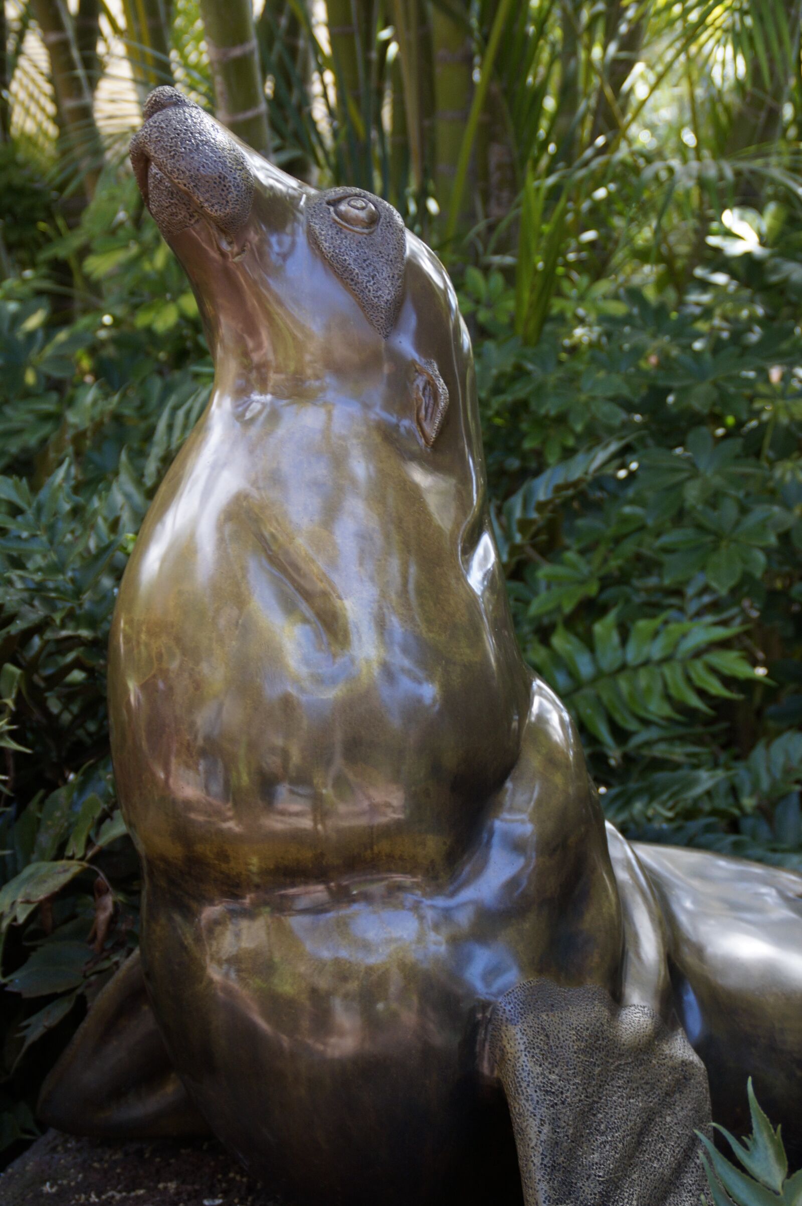 Sony SLT-A58 sample photo. Sea lion, statue, figure photography