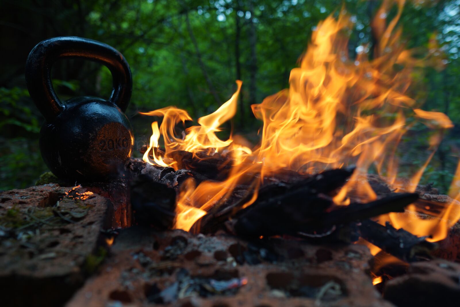 Sony a6400 + Sigma 16mm F1.4 DC DN | C sample photo. Carnivore, kettlebell, trening photography
