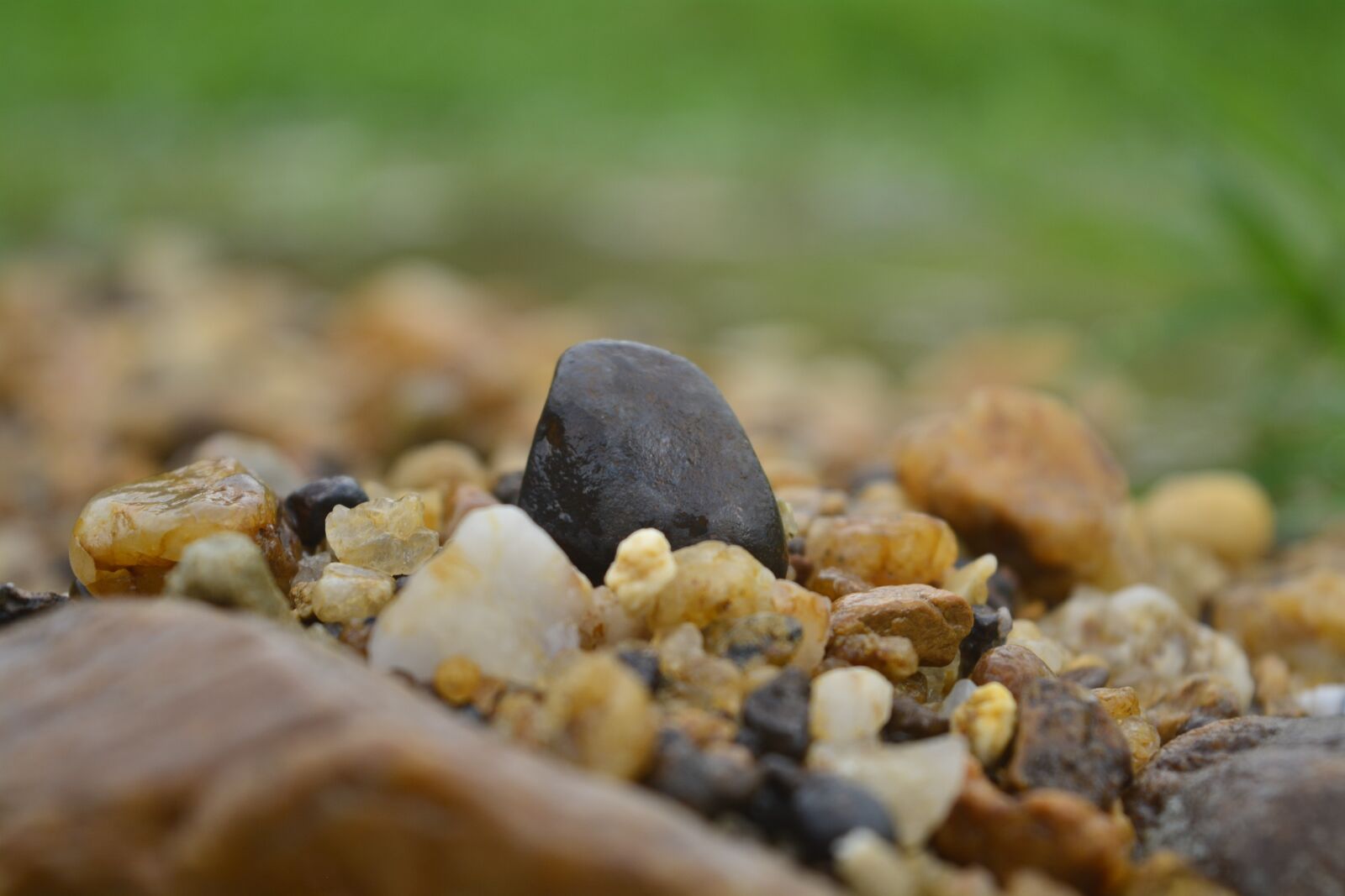 Nikon D5200 sample photo. Nature, stone, object photography